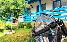 Casa David