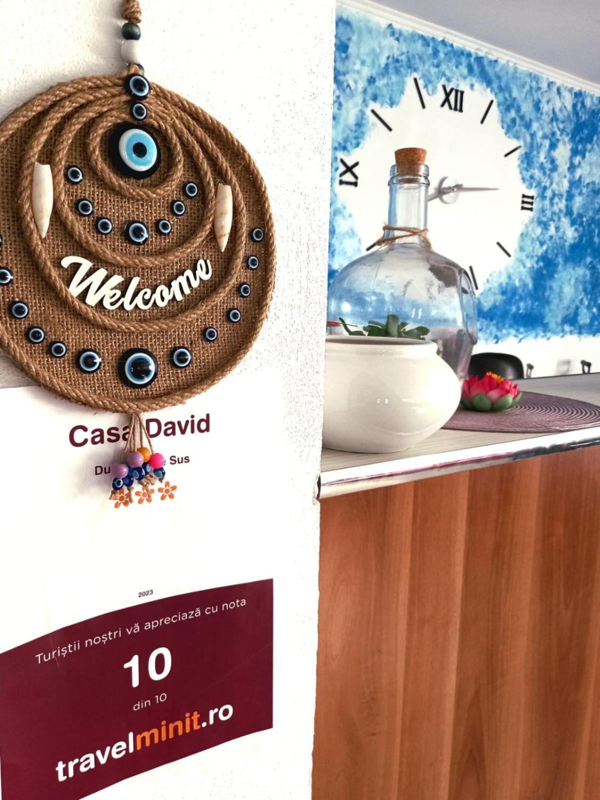Casa David Hotel Dunavăţu de Sus Exterior foto