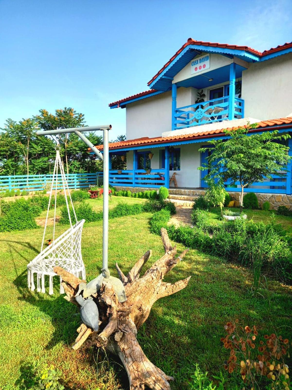 Casa David Hotel Dunavăţu de Sus Exterior foto