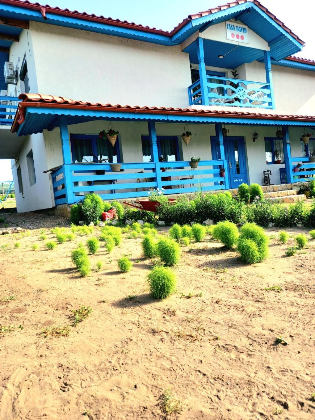 Casa David Hotel Dunavăţu de Sus Exterior foto